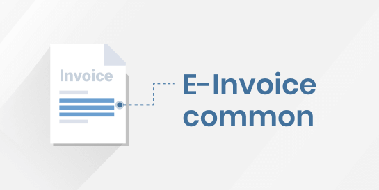 E-Invoice common