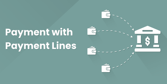 Payment with Payment Lines