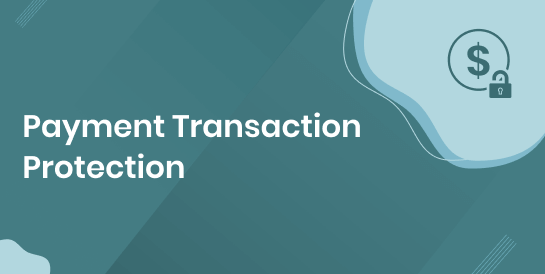 Payment Transaction Protection