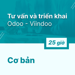 Odoo - Viindoo Consultancy & Implementation Service - Hour Package
